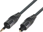 Transmedia Digitale optische Mini Toslink - Toslink audio kabel - 6mm - 1 meter