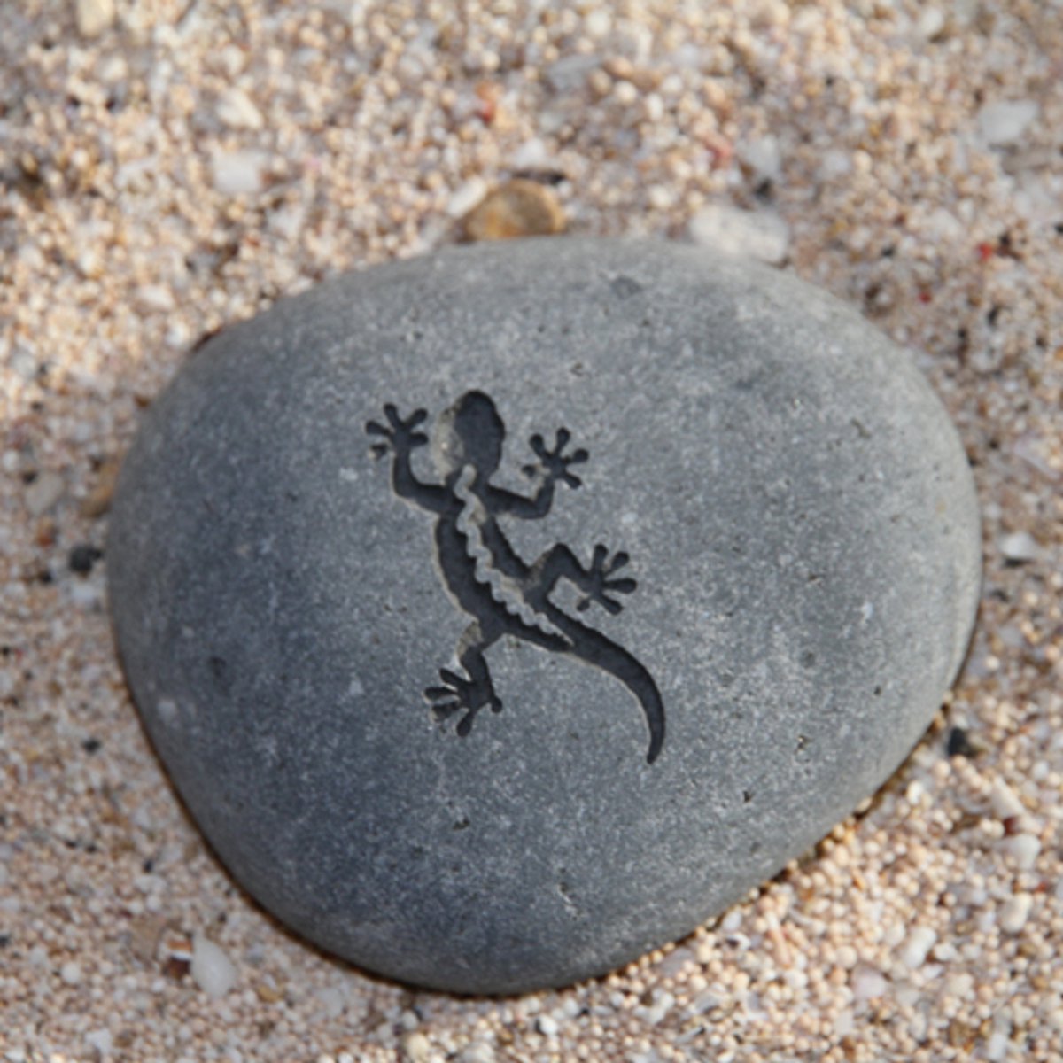 Wenssteen Gekko - zwerfkei met een diepe gravure van een hagedis