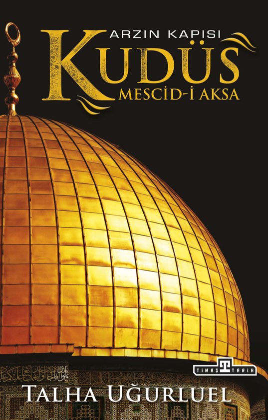 ISBN 9786050824254, histoire, Turc, 344 pages