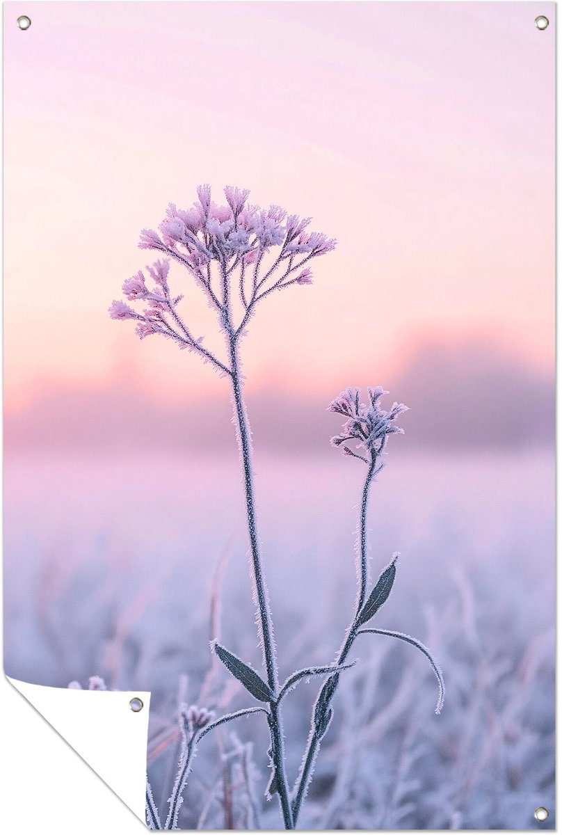 IJzige bloem in ochtendlicht - Natuur tuinprint - Tuinschilderij bloem - Minimalisme - Sch