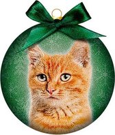 Ornament frosted kat rood