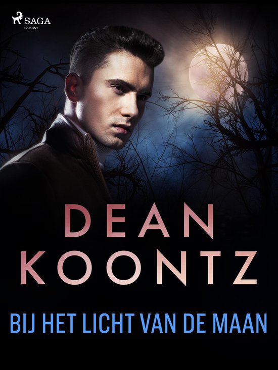 Bij het licht van de maan - cover