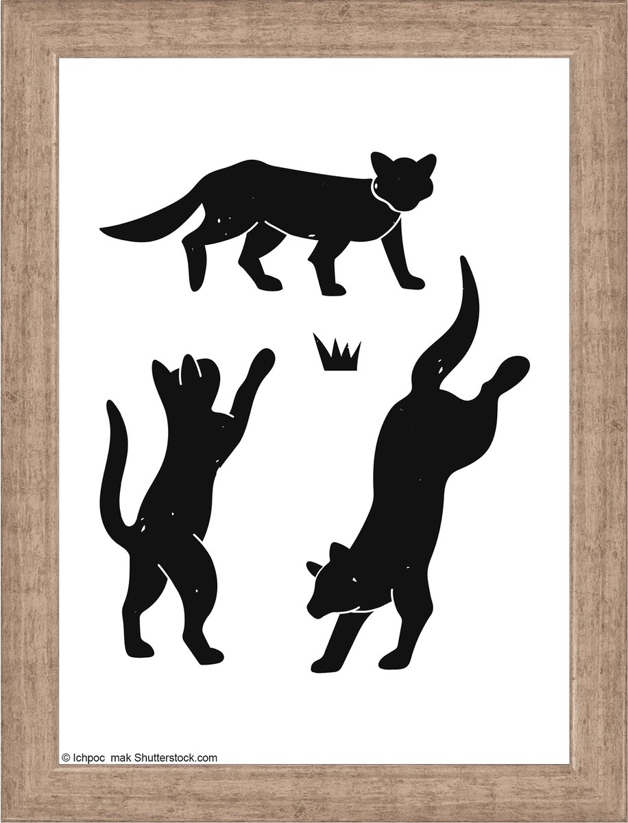 Walther Liv - Houten lijst - Fotoformaat 13x18 cm - Kunstglas - Grijs