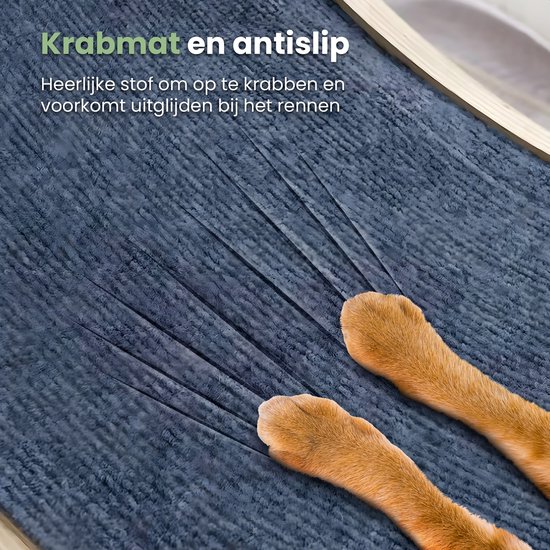 Kattenloopfiets 80 cm, grote en stille loopfiets voor huiskatten