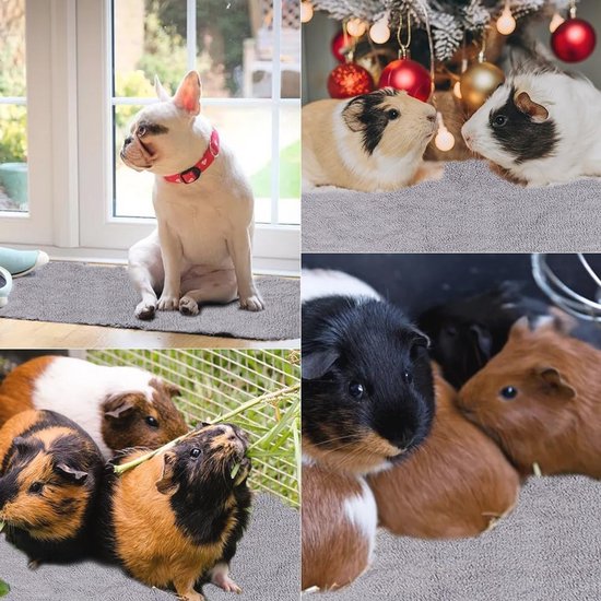 Waterdichte Knaagtapijt voor Kleine Dieren - 10 Stuks Wasbare Pipipad en Slaapmat 35x75cm van Pawise — afbeelding 3