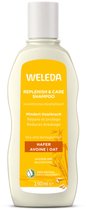 Bol.com WELEDA - Regenererende Shampoo - Haver - 190ml - 100% natuurlijk aanbieding