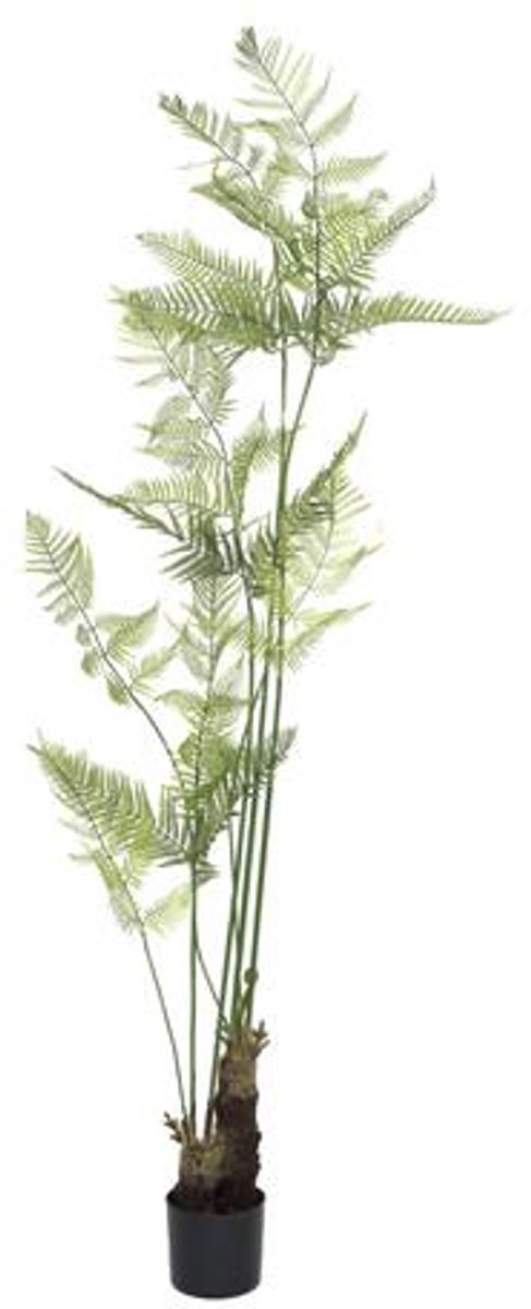 Pottery Pots Kunstplant - Fern XL - H210cm - Indoor - Green