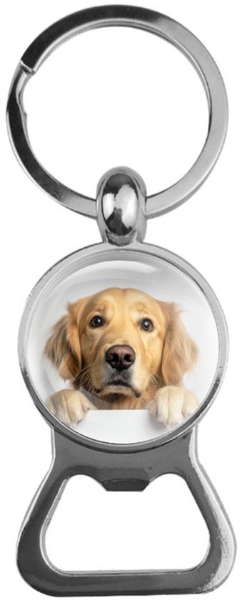 Glas à bière | Golden retriever