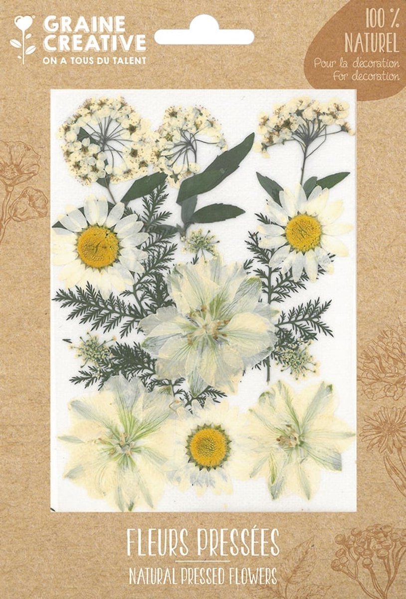 Graine Creative gedroogde bloemen knutselset - White Meadow 15 stuks decoratie.