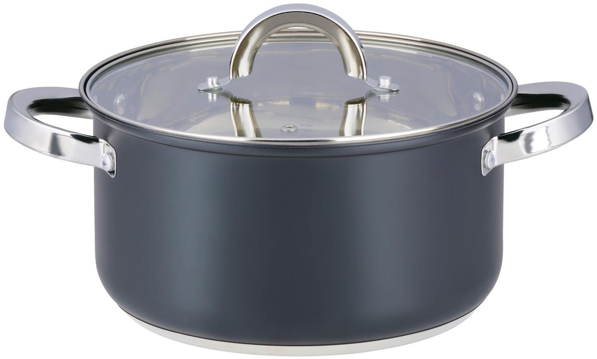 alpina Pan met Deksel 6.1L Ø24Cm