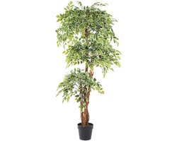 Kunstplant Ficus Bont - Deluxe | 175cm - Bonte kunst ficus - Groene kunstboom