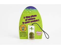 succulux levende Sleutelhanger – Mini Cactus & Vetplant – Origineel Cadeau – Mini Plant Sleutelhanger – Moederdag Tip – Unisex Accessoire
