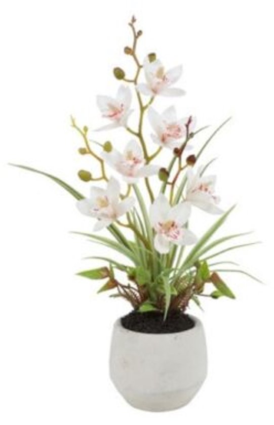 Countryfield Kunstplant Cymbidium Orchidee wit