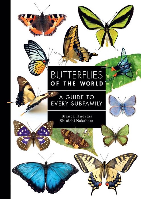 A Guide to Every Family - Butterflies of the World - cover