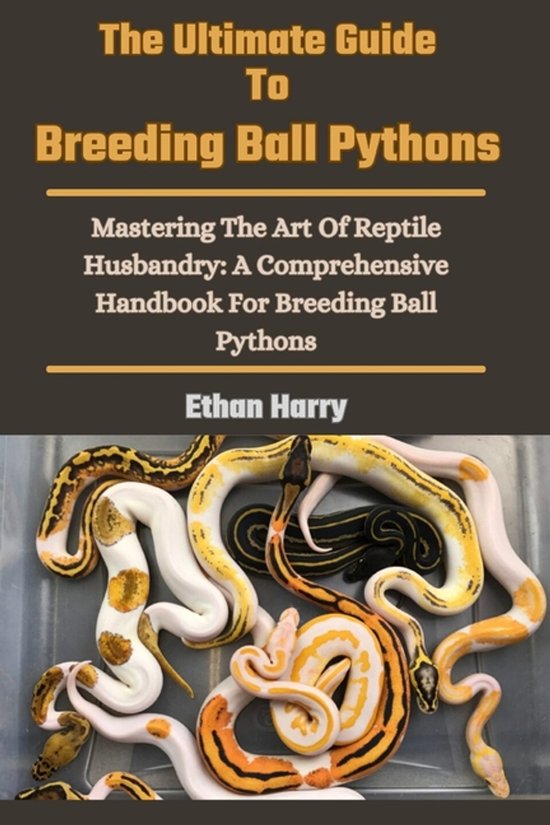 The Ultimate Guide To Breeding Ball Pythons