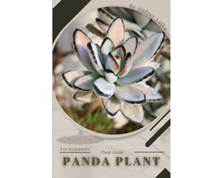 Panda Plant