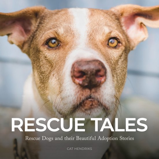 Rescue Tales - cover