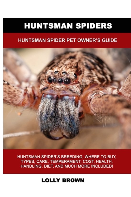 Huntsman Spiders - cover