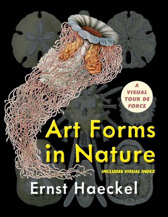 Art Forms in Nature (Dover Pictorial Archive) - cover