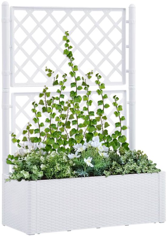 Planten klimrek - Goedkope plantenbakken kopen? | Korting tot 55