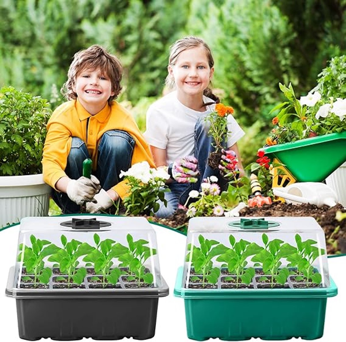 Famanu Kamerbroeikas, kweekbak, 3 stuks, 36 cellen, mini-broeikas, kweekschalen, zaailingen, starter, trays, kweekschaal met deksel en ventilatie voor zaailingen en planten