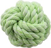 Licht groene bal voor de hond