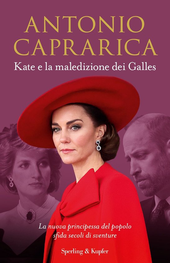 Kate e la maledizione dei Galles - cover