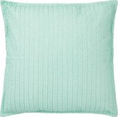 Dutch Decor TAPPE - Sierkussen mint 45x45 cm - groen