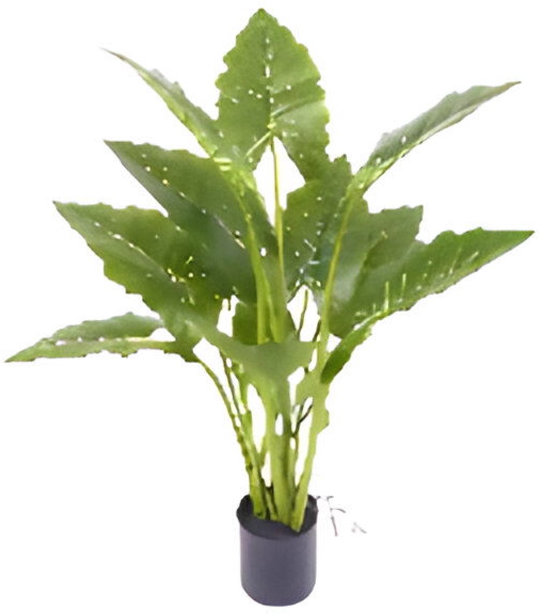 Oosterik home - Allocasia groen 80 cm kunstplant Oosterik Home