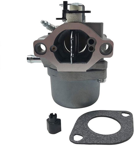CARBURATEUR POUR BRIGGS & Stratton 799728 Replaces Carb 498231 499161 - Foto 9