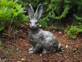 Haas - Statue en bronze - 26 x 15 x 36 cm