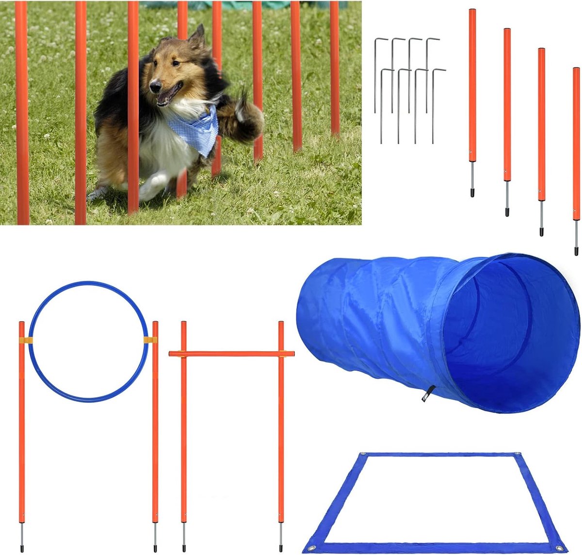 Aufun Behendigheidsset voor Honden - Trainingshindernissen - Hondentunnel - Gevlochten Palen - Springring - Hindernisstang - in Hoogte Verstelbaar - Conische Tonnen incl. Draagtas