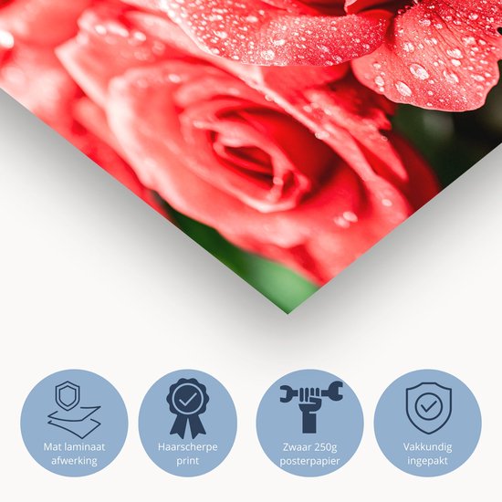 Rode rozen met waterdruppels - Rozen posters - Wanddecoratie roos - Hyperrealisme - Woonkamer posters - Decoratie kamer - Poster 40x30 cm