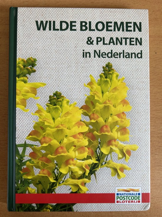 Wilde bloemen en planten in Nederland