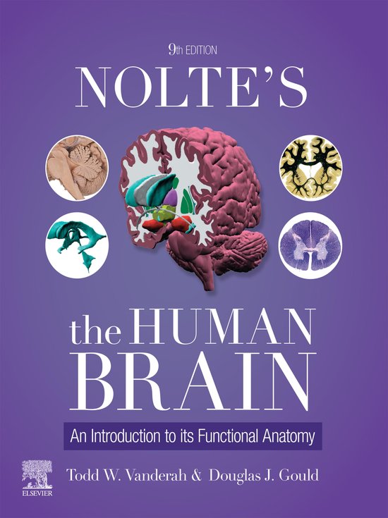 Nolte's The Human Brain - E-BOOK - cover