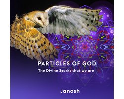 Omslag van Particles of God