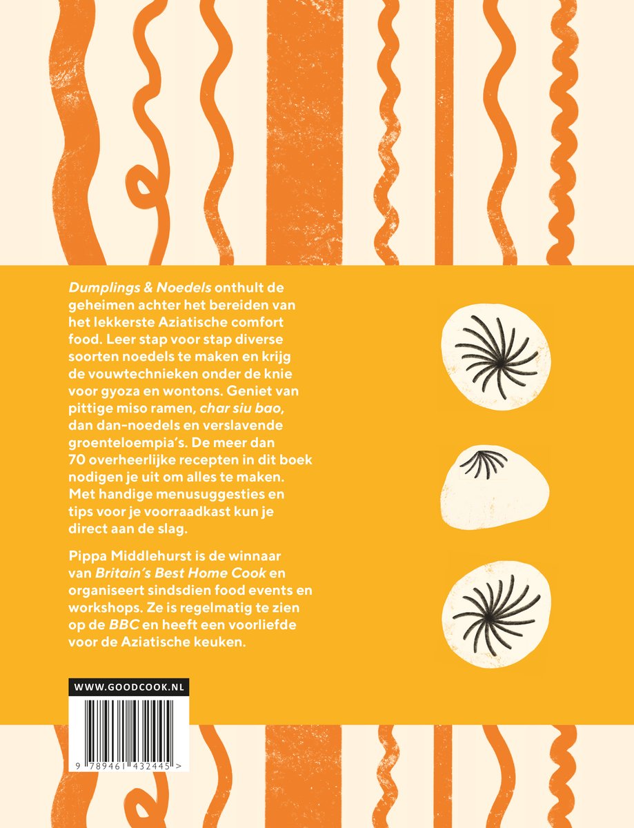 Achterkant Boekomslag Dumplings & Noedels met tekst en illustraties van dumplings.
