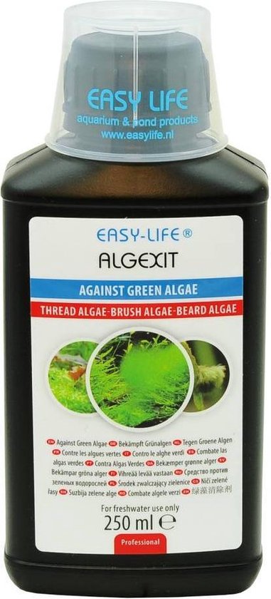 AlgExit