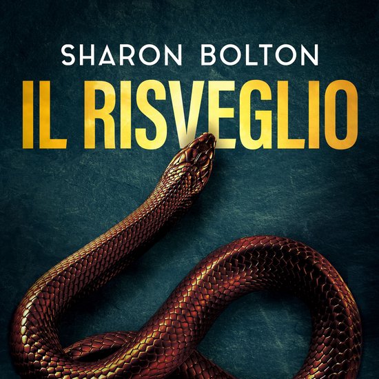 Il risveglio - cover