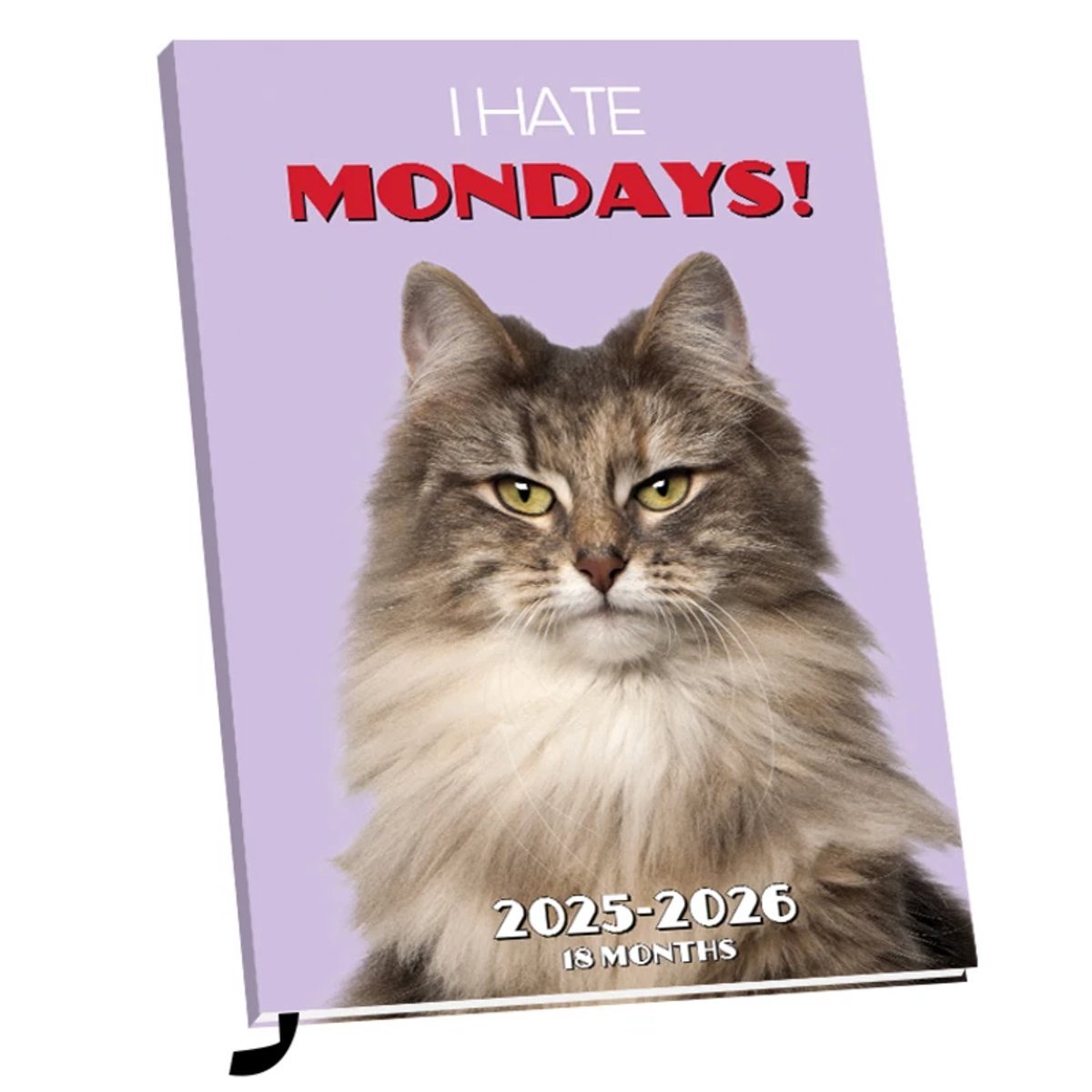 I Hate Mondays agenda 2025-2026 - 18 maanden - Agenda - 8720634932721