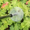 Spinnenval met lange steel bovenop groene planten, met een spin binnenin de transparante trechter.