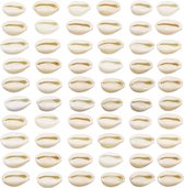 Kauri, Cowrie Schelpen | SCHELPEN | La Tarifa - Kralen en Sieraden
