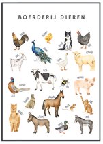 Affiche pédagogique No Filter - affiche animaux de la ferme - 21x30 cm - format A4 - Affiches chambre enfant - affiche animaux