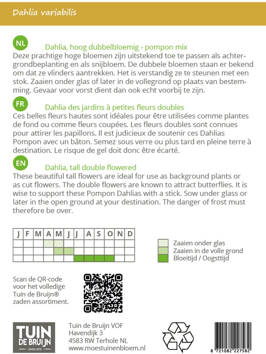 Dahlia Zaden Pompon Mix – Dubbele Zomerbloemen voor Tuin of Balkon – Geschikt als Snijbloem – ±75 Bloemzaden - Tuin de Bruijn zaden van Tuin de Bruijn — cadeau in Tuin & Klussen - foto 2