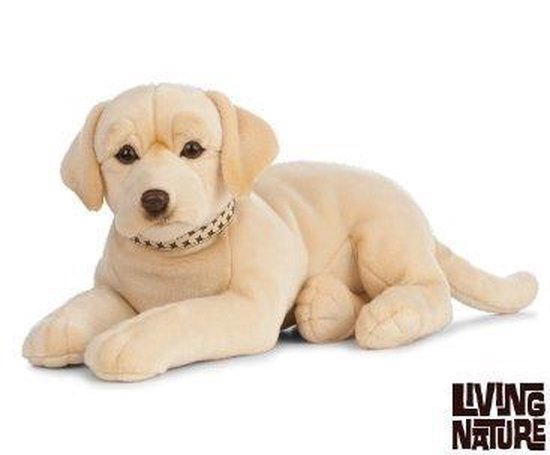 Grote pluche blonde Labrador hond knuffel 60 cm - Honden huisdieren knuffels  -... | bol.com