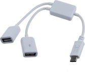 USB-C hub met 2 USB-A poorten - busgevoed - USB2.0 / wit - 0,15 meter