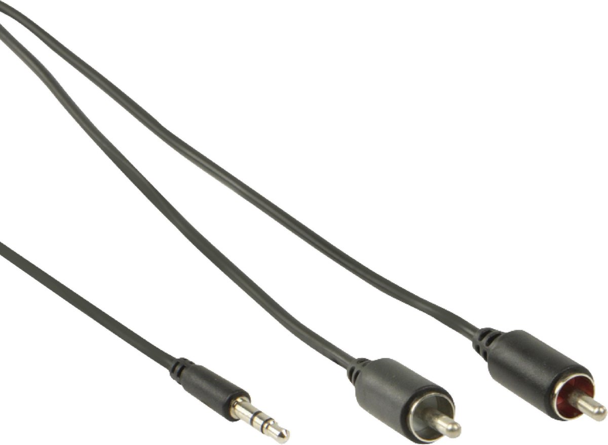 3.5 mm naar RCA audiokabel 2,00 m zwart