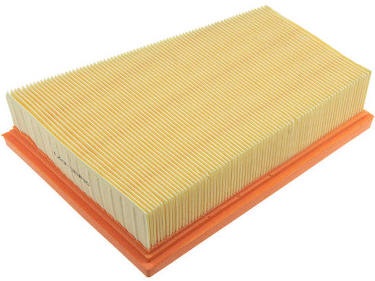 Luchtfilter OEM 165465086R