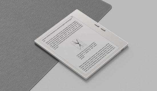Witte e-reader met tekst en een takje, op een grijze achtergrond.