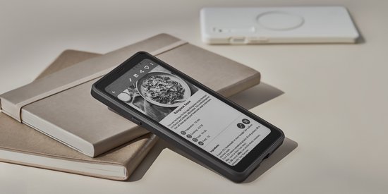BOOX Magnetische 2-in-1 Beschermhoes voor de Palma 2 - Donkergroen van BOOX — afbeelding 2